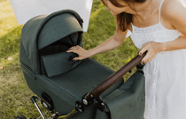 Коляски и аксессуары
