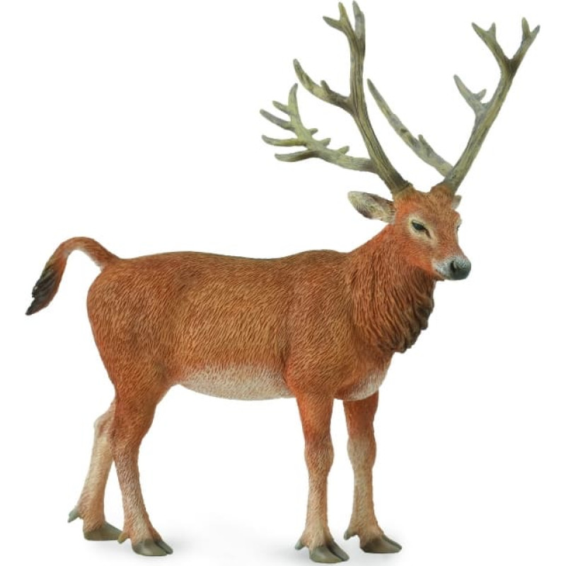 Collecta P?re David's deer (L), 88829