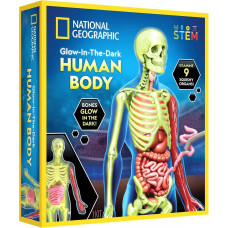 National Geographic set Glow in the Dark Human Body, RTHUMBODY