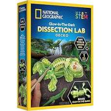 National Geographic set Glow in the Dark Gecko Dissection Lab, RTGECKOLAB