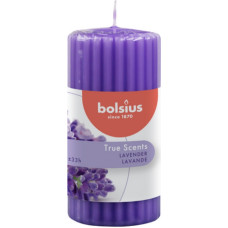 Bolsius Ароматическая свеча-цилиндр True Scents &Oslash;120x58 мм, лаванда