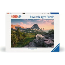 Ravensburger Пазл 3000 Альпийская коза с козлёнком
