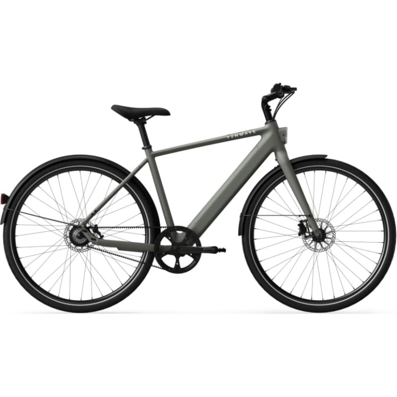 Tenways Электровелосипед TENWAYS CGO600 Pro, цвет Willow Mist. (XL)
