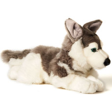 Uni-Toys Мягкая игрушка Хаски, 40 см