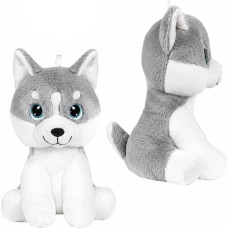 PIES HUSKY
