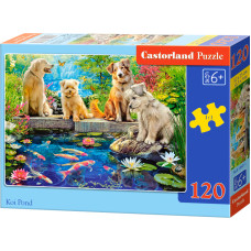 PSIAKI NAD STAWEM Z RYBKAMI KOI *120*