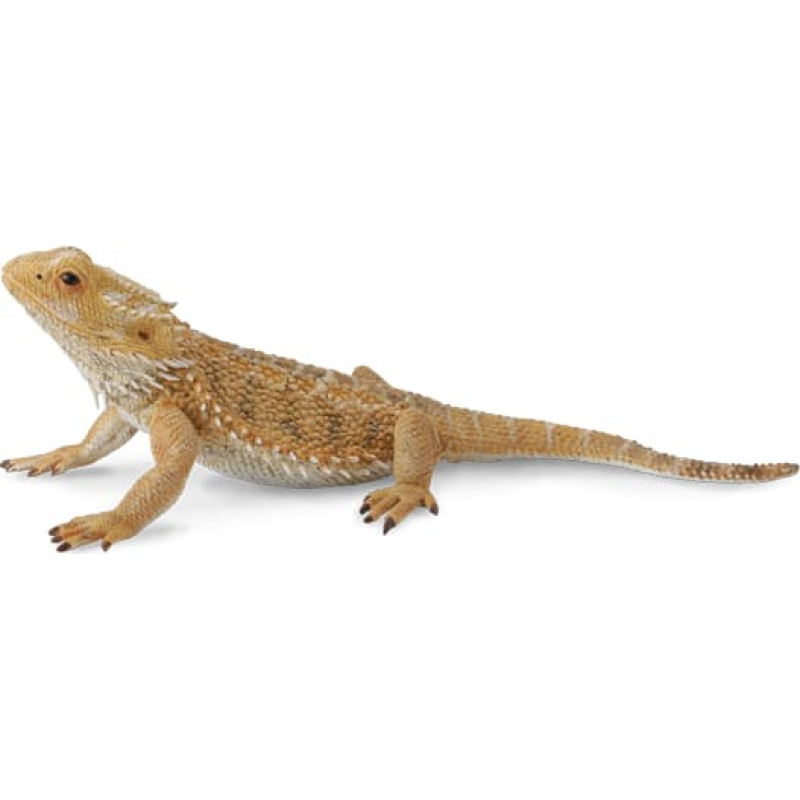 Collecta Bearded dragon lizard (L) 88567