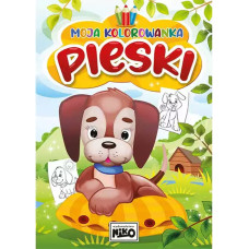 MOJA KOLOROWANKA PIESKI