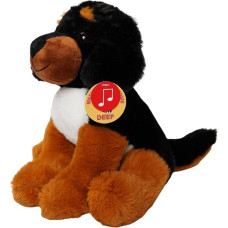 PIES SIEDZĄCY Z GŁOSEM