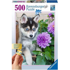Ravensburger Пазл 500 Милый хаски
