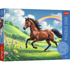 DOSTOJNY KOŃ *200*