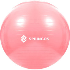 Springos Мяч для упражнений с насосом Springos FB0012 75 см