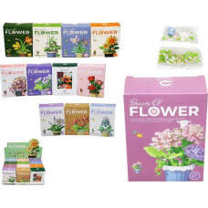 Other Blocks - 02523 - AQUARIUM - 6 designs