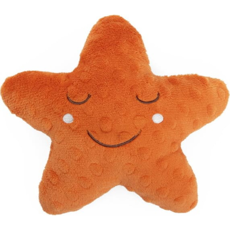 Chicco 180011 MAGICAL STAR YOU&ME
