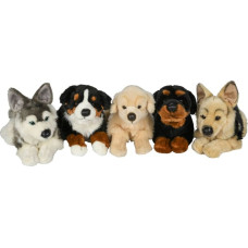 Uni-Toys Мягкая игрушка Собаки разные, средние, 30 см