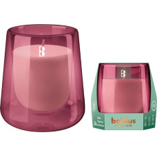 Bolsius Ароматическая свеча. Стеклянная. Чистый свет &Oslash;95x85 мм, кипарис и янтарь.