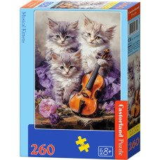 MUZYKALNE KOTY *260*