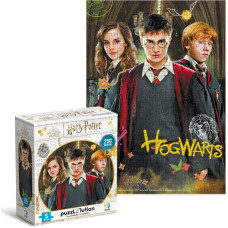 Dodo Развивающие пазл Medium-S Harry Potter Harry and friends 250 pcs