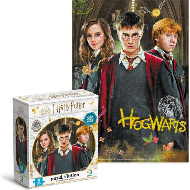 Dodo Развивающие пазл Medium-S Harry Potter Harry and friends 250 pcs