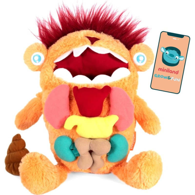 Miniland AMAZING INSIDE