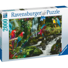 Ravensburger Puzzle Parrots Paradise 2000p 17111