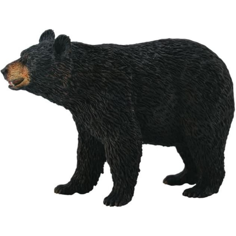 Collecta American Black Bear (L), 88698