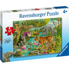 Ravensburger Puzzle Animals of India 60 Pc Puzzle 5163