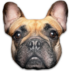 Splat Planet souvenir cushion FRENCH BULLDOG