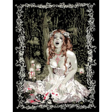 Ravensburger Картина по номерам &ndash; Вампир Фаволе