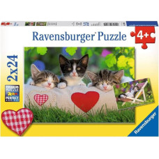 Ravensburger Пазл 2x24 элемента Спящие котята