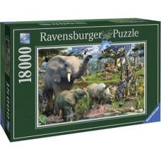 Ravensburger Пазл R 18000 Джунгли