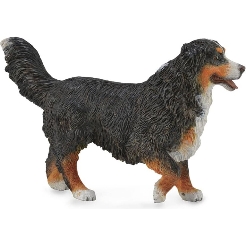 Collecta Bernese mountain dog  L, 88801