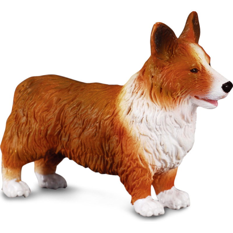 Collecta Welsh Corgi, (M), 88082