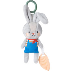 Taf Toys развивающая игрушка Rylee the Bunny