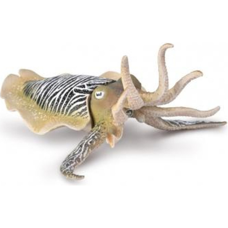 Collecta Sea animal Common Cuttlefish (XL), 80009