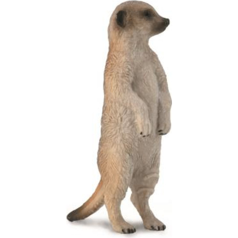 Collecta Meerkat (S) 88913