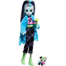 Monster High® кукла Frankie