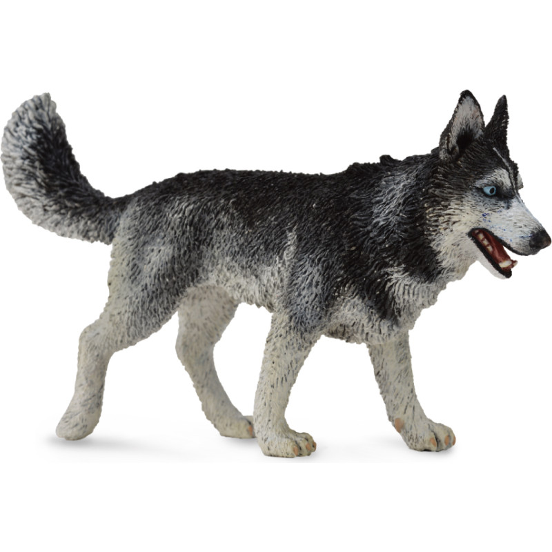 Collecta Siberian Husky, (L), 88707