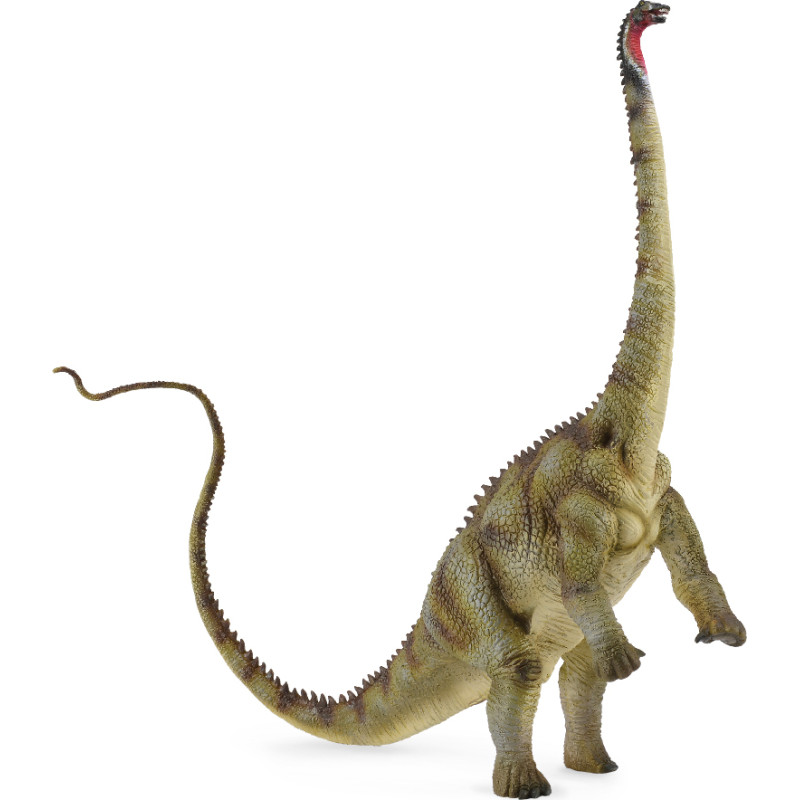 Collecta Diplodocus, (XL), 88622