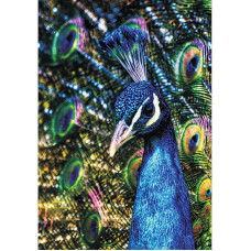 TSVETNOY Алмазная мозаика 40x50см Peacock, LG187e