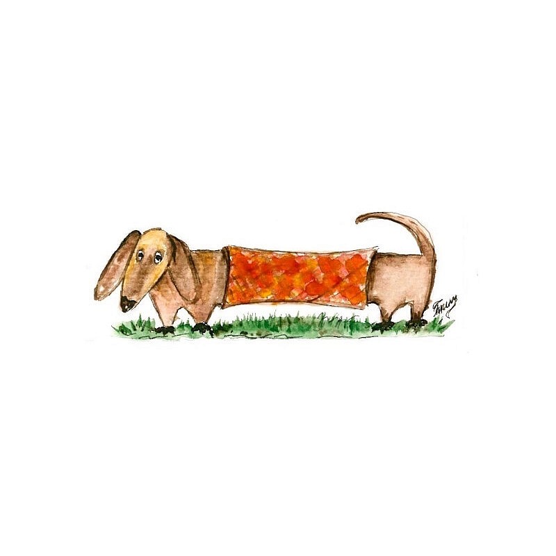 TSVETNOY Алмазная мозаика 17x22см Dachshund Lilo, X001e