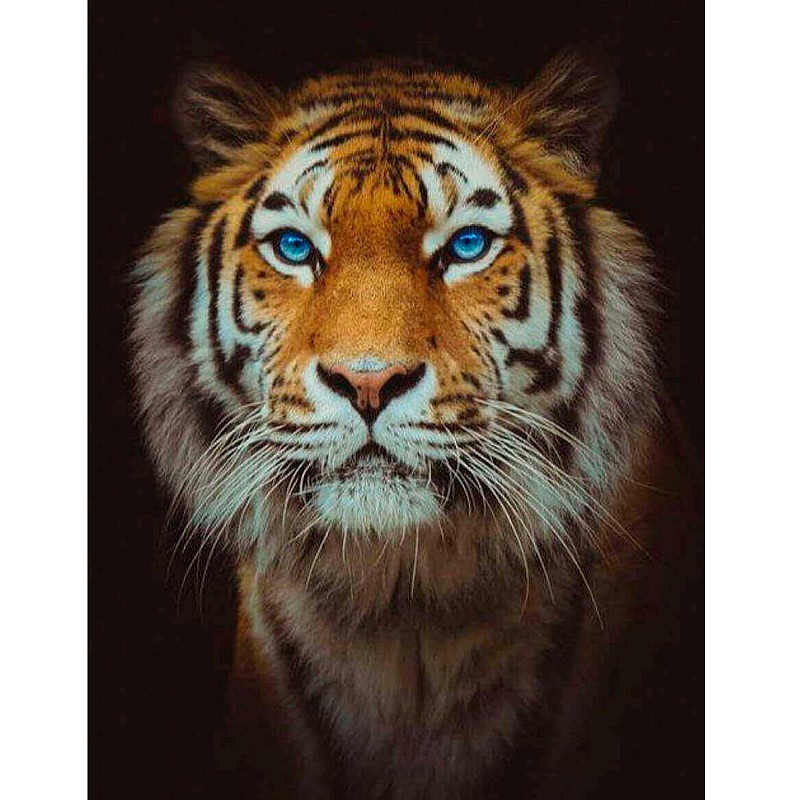 TSVETNOY Алмазная мозаика 40x50см Lord, LG165e