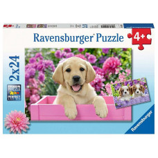 Ravensburger пазл 2X24 Me and my pal R 05029