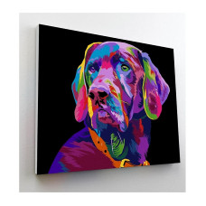 SPLAT PLANET Набор для рисования по номерам 30x40см DOG, SP44495