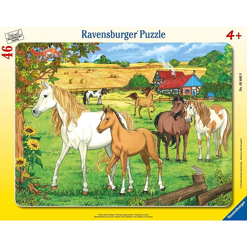 Ravensburger пазл в рамке 46 элементов 4+, 06646 РАСПРОДАЖА