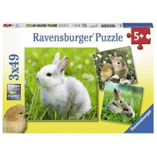 Ravensburger пазл 3x49 R 08041