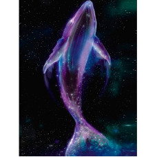 TSVETNOY Алмазная мозаика 40x50см Space Whale, LG242e