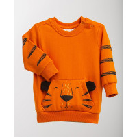 CANGO джемпер TIGER, 74 размер., KBSS-255-74 РАСПРОДАЖА